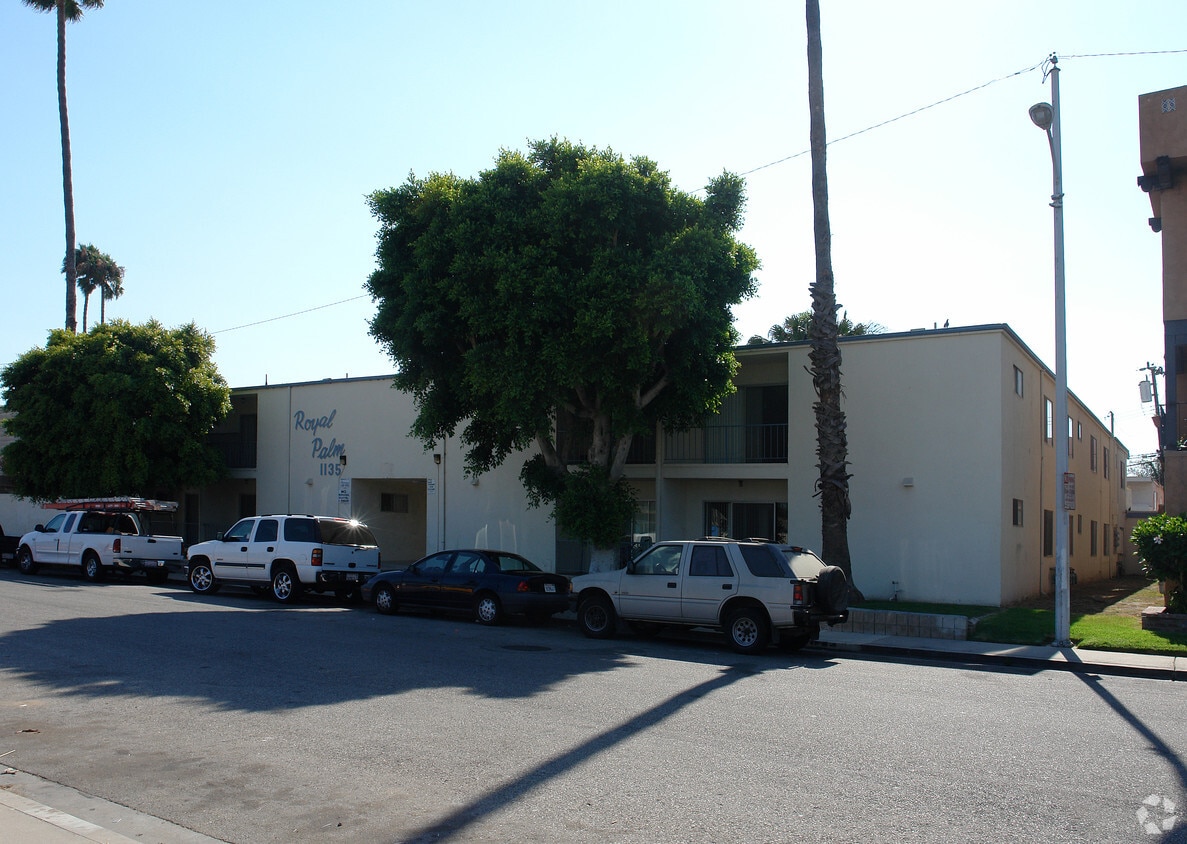 Primary Photo - Royal Palm