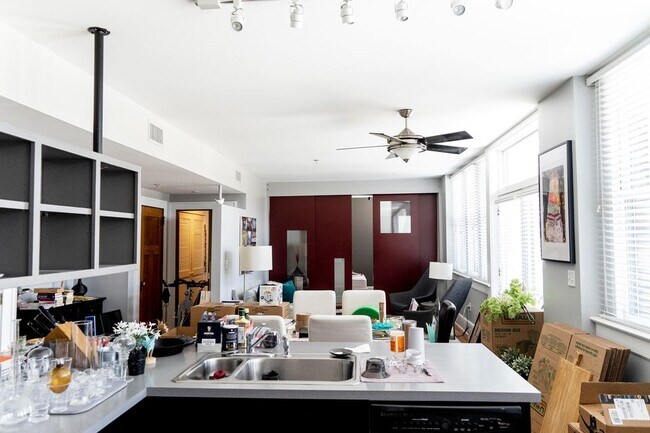 plano de planta abierto - 55 Haywood St