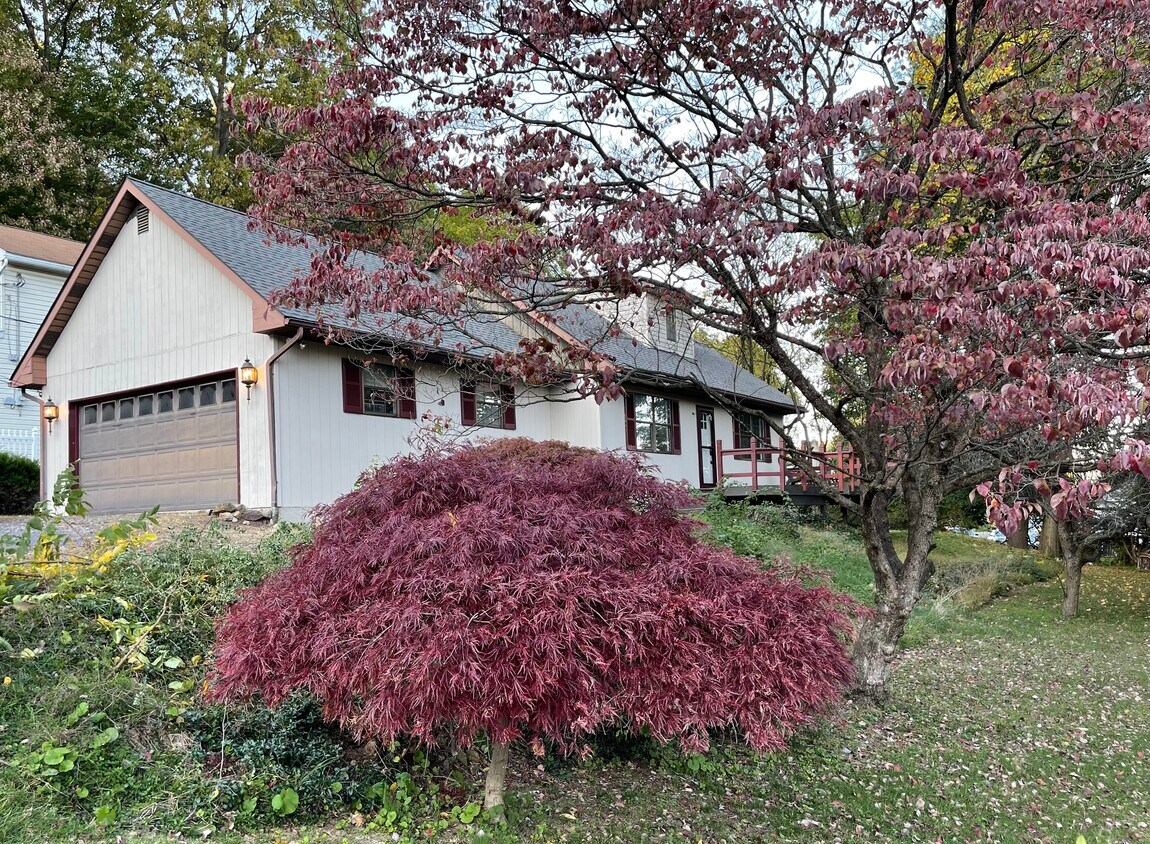 Exterior - 719 Wistar St