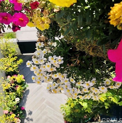 Building Photo - 294 Harringay