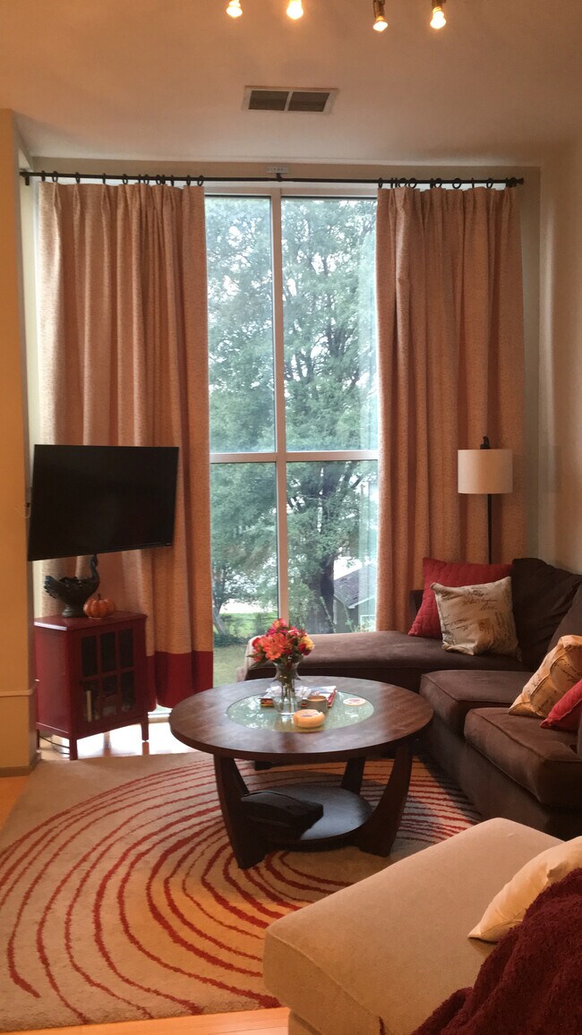 Floor to ceiling windows in the main living space. - 2074 Euclid Ave