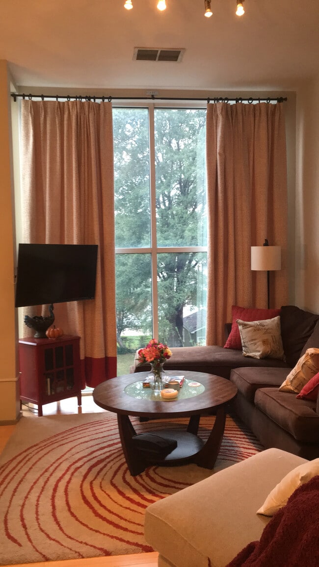 Floor to ceiling windows in the main living space. - 2074 Euclid Ave