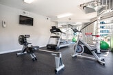 This fitness room offers a well-organized workout space designed to accommodate a variety of exercise needs. The room features durable rubber flooring throughout, providing a safe and practical surface for equipment use and floor exercises, with a stretch mat available for warm-ups and cool-downs. Overhead fluorescent lighting ensures the space is well-lit, complementing the natural light that flows in through multiple large windows and a set of French doors. These doors open toward an outdoor pool area, providing pleasant views and a sense of openness that enhances the overall atmosphere.

The room is equipped with a diverse selection of fitness equipment, including a treadmill, rowing machine, stationary cycle, and a multi-station cable weight machine, offering options for both cardiovascular and strength training. Medicine balls and exercise balls are stored along the wall for additional workout variety. A wall-mounted flat-screen television adds convenience for entertainment during workouts. A large mirror on one wall visually expands the space and aids in monitoring exercise form. The textured ceiling and neutral-toned walls give the room a clean, functional aesthetic well-suited to its purpose.
