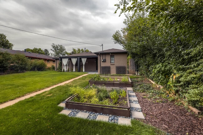 Backyard - 1183 Forest Street