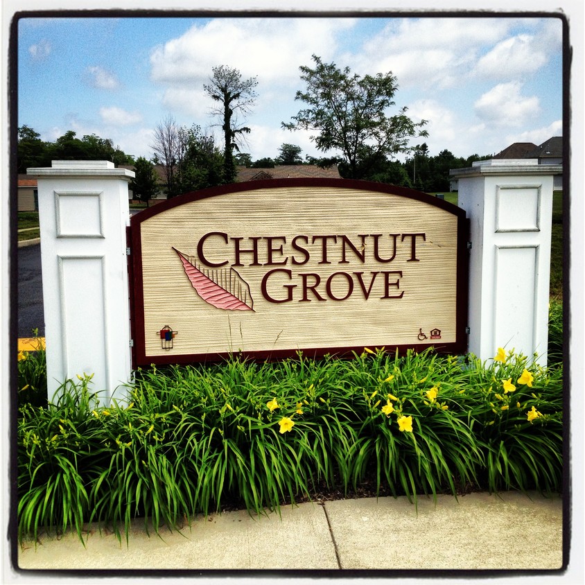 Primary Photo - Chestnut Grove