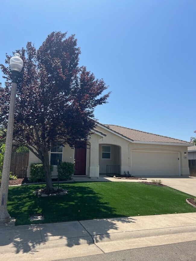 Building Photo - Single Story 3 Bedroom Home in Lincoln Acr...