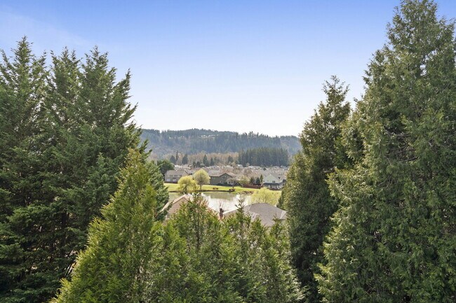 Foto del edificio - Beautiful, Spacious, Damascus Home with Incredible Views