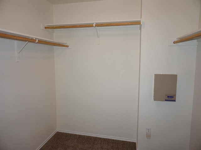 Building Photo - 1520 Wind Star Way