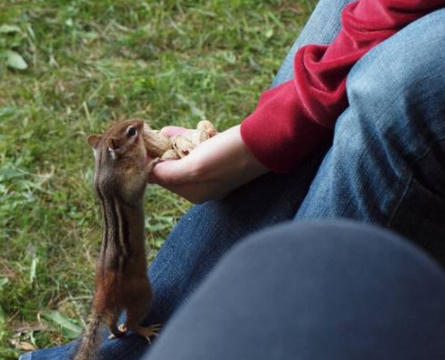 Building Photo - 26 Arcadia Rd