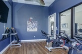 This single-room fitness studio is designed specifically for cycling and group exercise, offering a well-appointed space for focused, high-energy workouts. The room is finished with deep slate-blue walls that create a motivating, immersive atmosphere, complemented by warm hardwood-style flooring that adds a polished, clean aesthetic throughout.

Multiple stationary cycling bikes are arranged to face a large wall-mounted flat-screen television, making the space ideal for guided spin classes or virtual cycling programs. A wall-length mirror runs along one side of the room, visually expanding the space and allowing users to monitor their form during workouts. A dedicated equipment rack holds an organized array of exercise bars and resistance accessories with color-coded handles, keeping the studio tidy and ready for group use.

A large picture window floods the room with natural light while offering views of the surrounding residential landscape and green spaces, providing a refreshing visual connection to the outdoors during exercise. A ceiling fan overhead ensures comfortable airflow throughout sessions. An interior window connects the studio to an adjacent, well-equipped weight and cardio gym, allowing visibility between the two spaces. Step platforms are stored neatly along the wall, indicating the studio's versatility for a range of group fitness activities beyond cycling. The overall design balances functionality with a clean, modern finish.