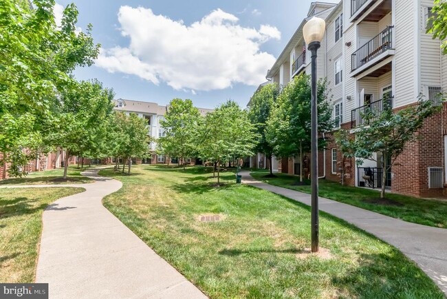 Building Photo - 21210 McFadden Square