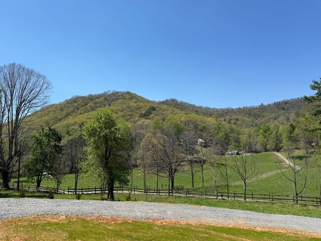 Foto del edificio - Hayesville Tiny Home 2