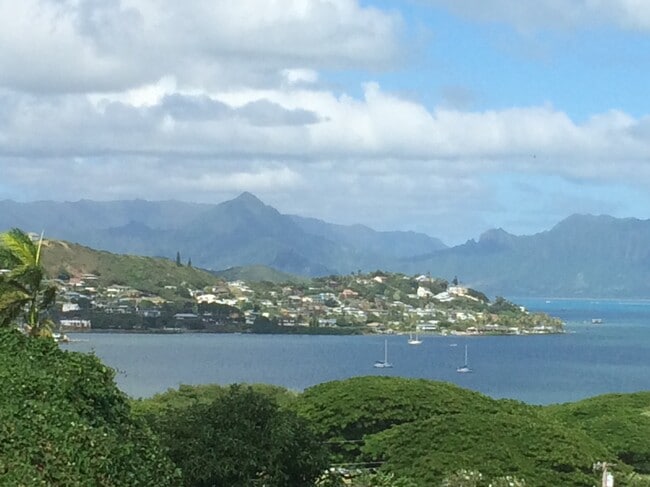 Building Photo - 45-155 Kokokahi Pl