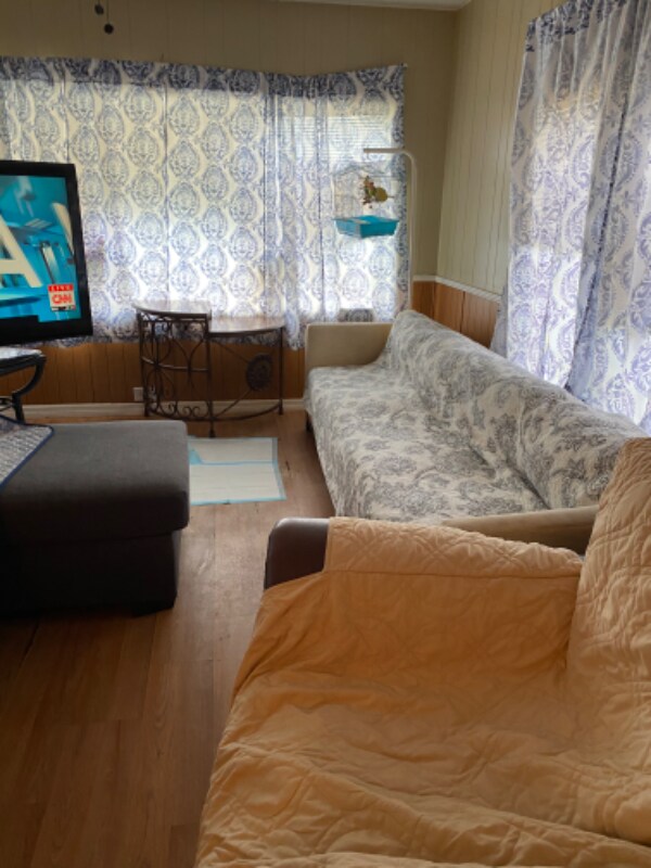 4843 Goldfinch Dr, Zephyrhills, FL 33541 House Rental in Zephyrhills