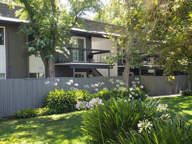 Patio - Sycamore Green Apartments