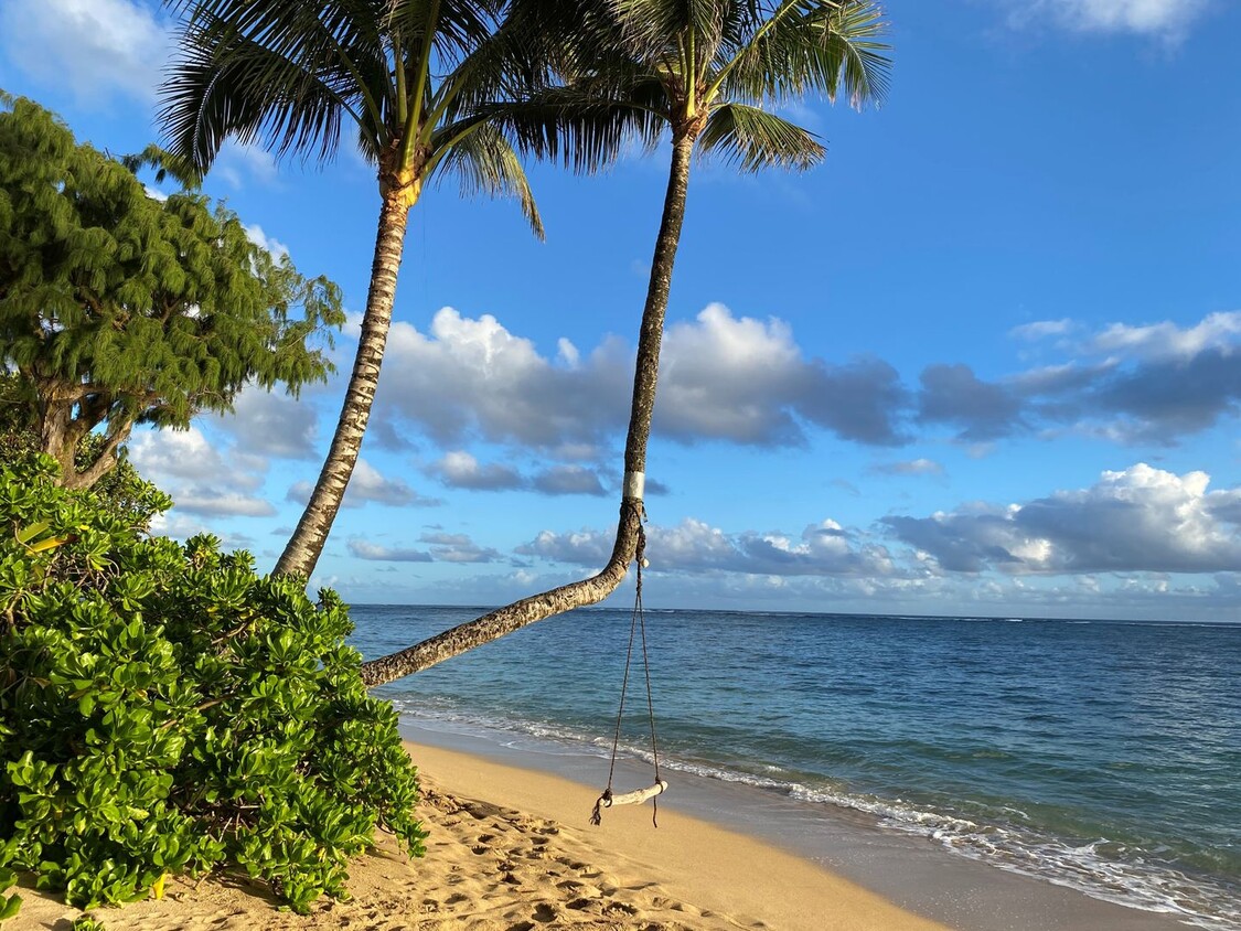 Primary Photo - Upgraded Beachfront Studio Apartment in Ha...