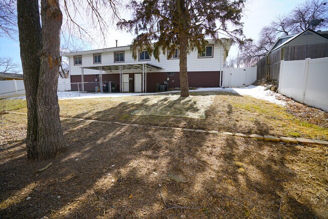 Backyard - 9518 Maple St