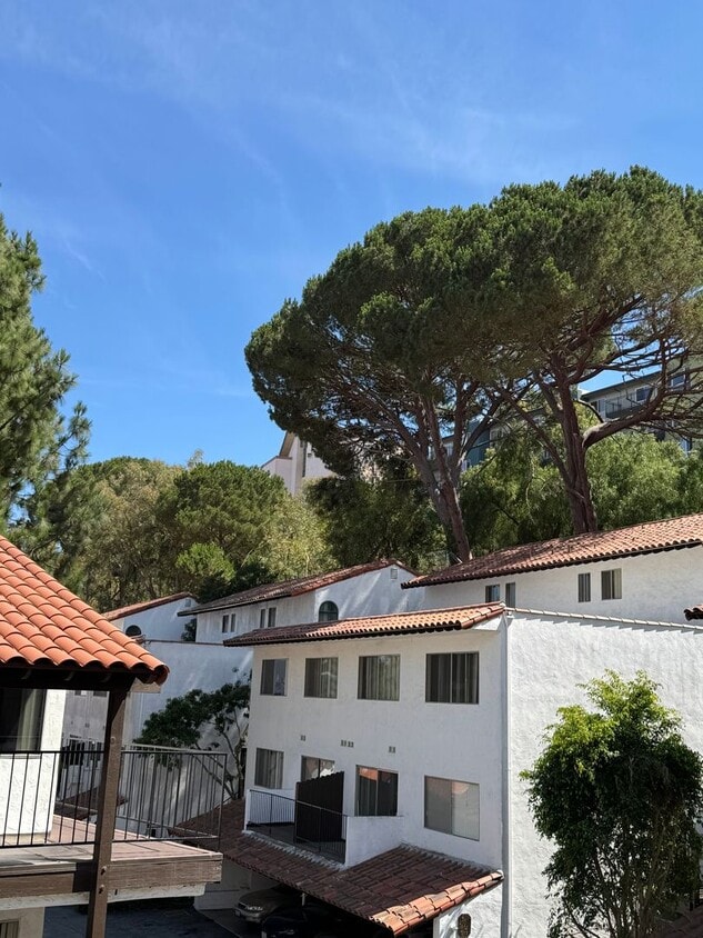 Primary Photo - Peninsula Villas