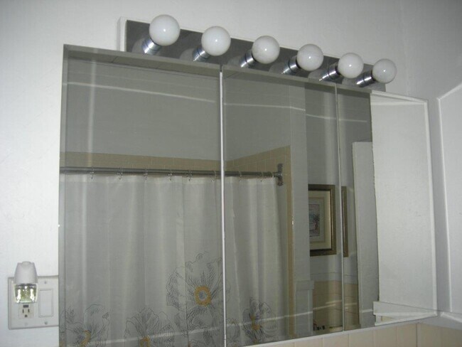 Vanity Mirror - 798 Park Ave