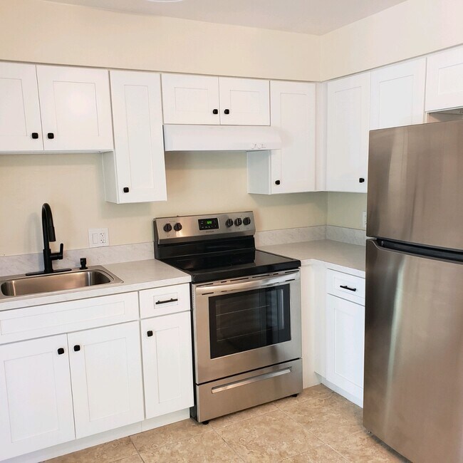 Cocina reformada - 745 Lunar Lake Cir