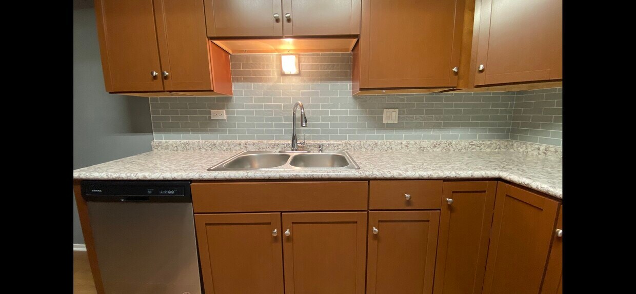 718 Tullamore Ct Unit 1, Schaumburg, IL 60193 Condo for Rent in