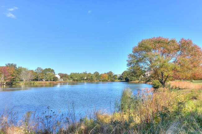 Foto del edificio - 2 BR, 2 BA Spring Lake Condo