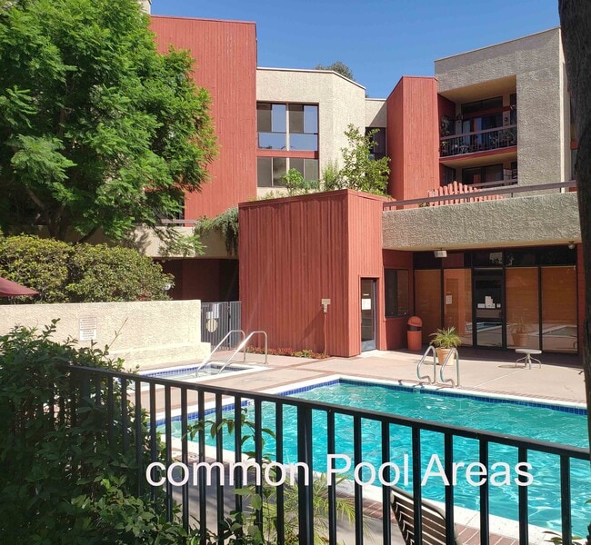 Common pool - 3961 Via Marisol