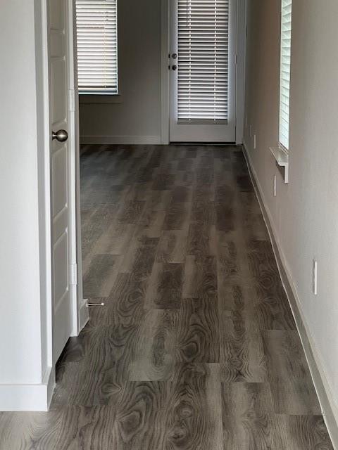 Building Photo - 12313 Frisco Cove Ct