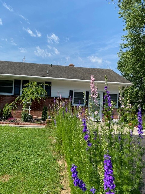 Foto del edificio - 113 Malone Ave