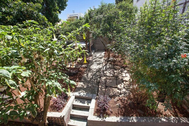 Jardín exuberante - 2755 Sutter Street