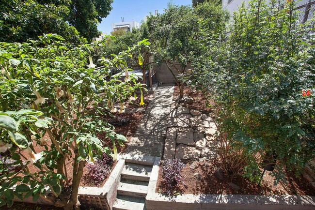 Lush Garden - 2755 Sutter Street