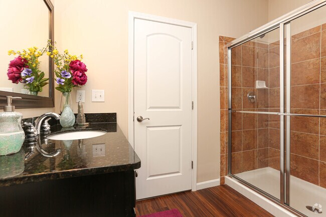 2HAB, 2BA - 1,184 ft² - Nova - Baño - Meridian On Shelbyville