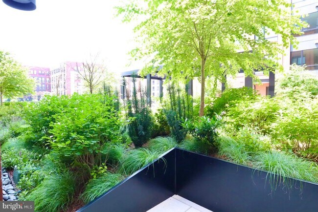 Foto del edificio - 7175 12th St NW