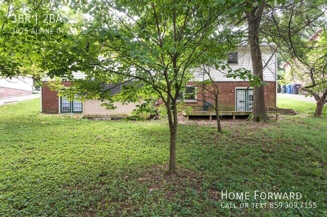 Building Photo - 3425 Alpine Ct