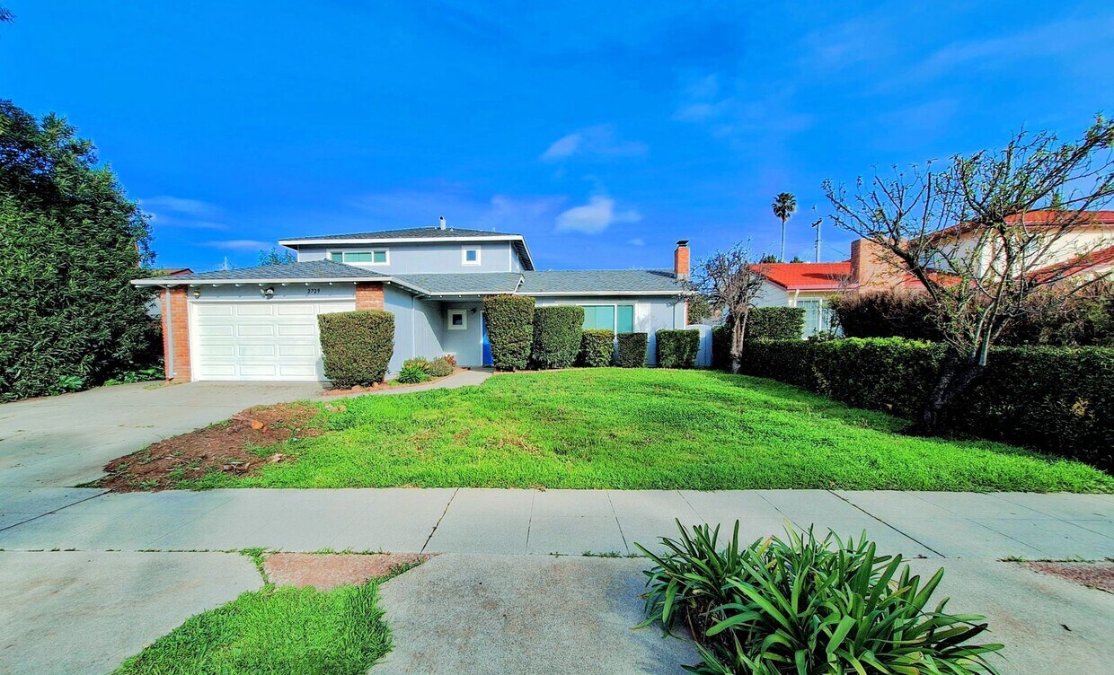 Primary Photo - Newly Refurbished Large 3bd House With Den...