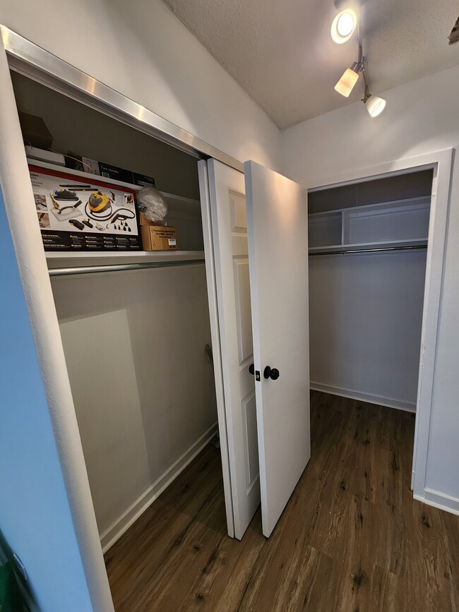 Closets - 253 E Delaware Pl