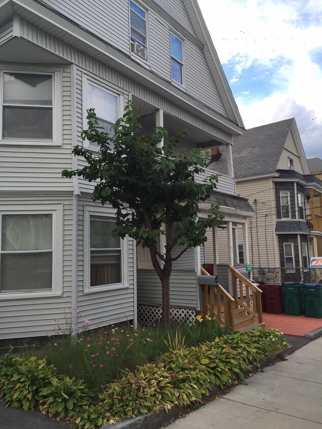 Primary Photo - 31 Bellevue St