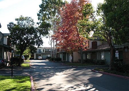 Primary Photo - Foxhollow Village Apartments
