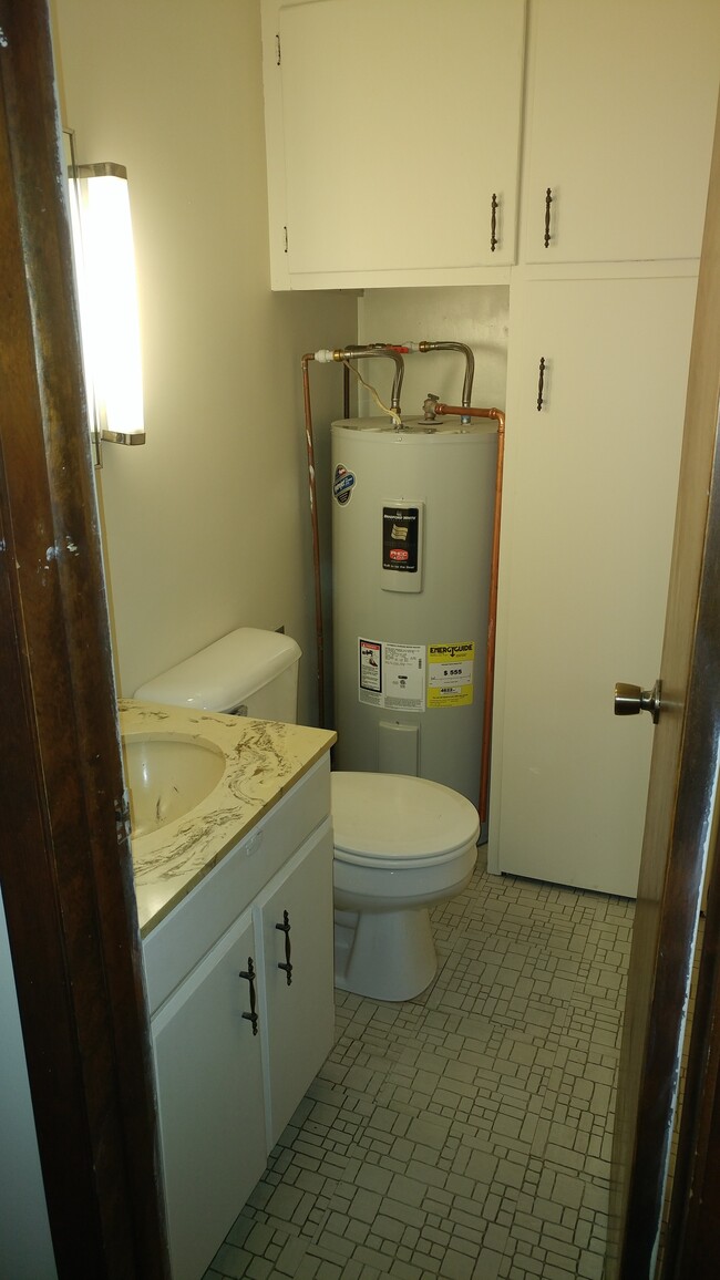 Downstairs bathroom - 307 E Cherry St