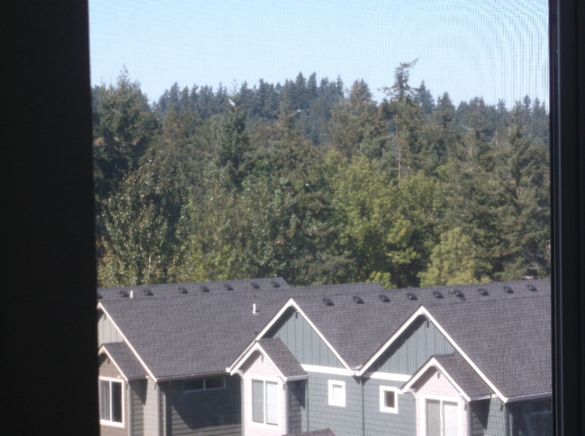 Building Photo - 2513 Rockrose Ln