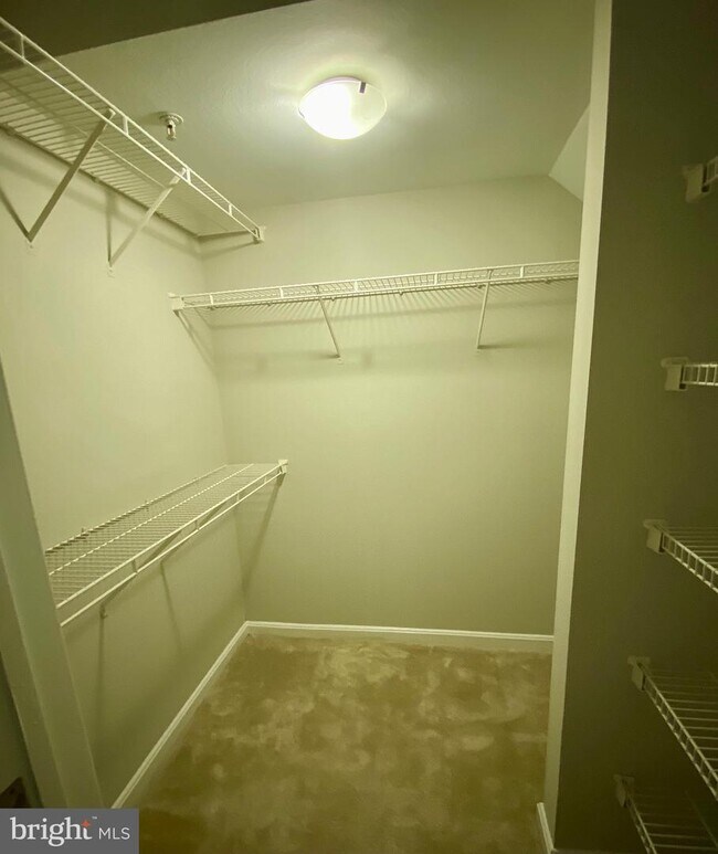 Foto del edificio - 2405 Avalon Bay Ln