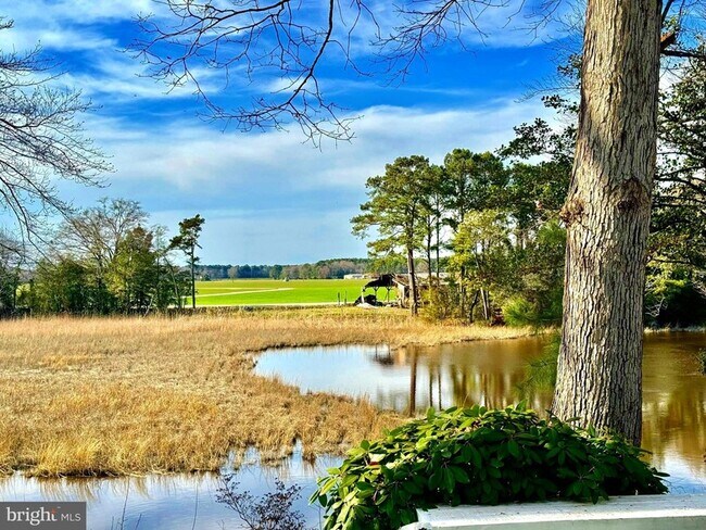 Foto del edificio - 3188 Windrows Way