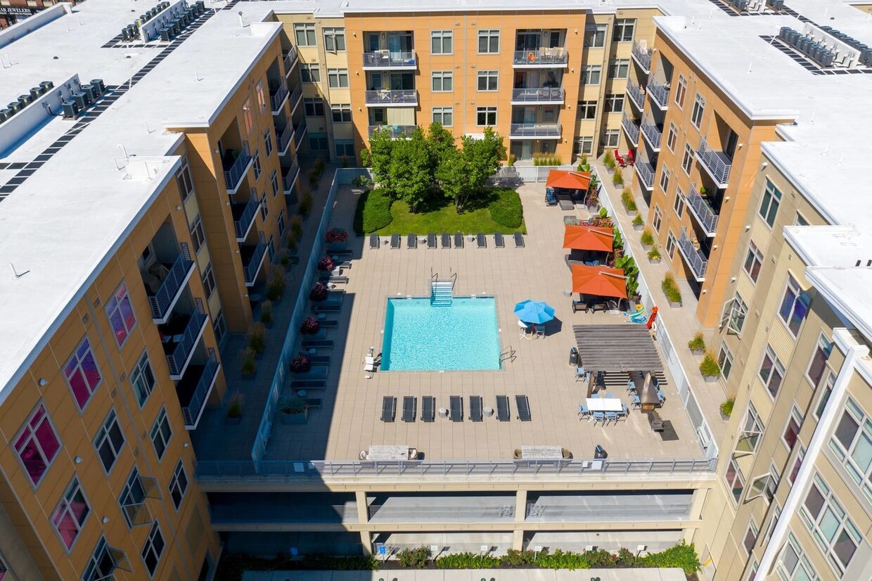 Primary Photo - Spacious Luxury 1 bedroom 781 sq ft locate...