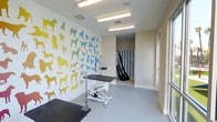 This purpose-built pet grooming facility offers a clean, professional environment designed with both functionality and charm in mind. The main grooming room is a standout space, featuring eye-catching wall art composed of colorful dog silhouettes in shades of yellow, green, and blue — creating a welcoming, playful atmosphere for pets and their owners alike. The room is equipped with hydraulic grooming tables, providing adjustable working surfaces suited to dogs of all sizes, along with grooming arm attachments and professional-grade tools. Smooth, easy-to-clean flooring runs throughout, reflecting the hygienic standards expected in a pet care environment. Bright fluorescent lighting ensures excellent visibility across all workstations. A connecting corridor leads further into the facility, where blue-and-white striped walls add a distinct visual accent and a ramp or stairway structure is visible, suggesting dedicated access accommodations for pets. The space is thoughtfully laid out to support efficient workflow for grooming professionals while maintaining a stress-free environment for animals. Overall, the facility balances a lively, pet-friendly aesthetic with the practical requirements of a modern grooming operation.