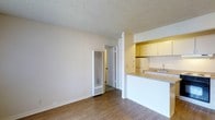This 1-bedroom, 1-bathroom unit is designed for comfortable, efficient living across a single floor. The open living area features warm wood-style plank flooring and neutral-toned walls that create a clean, welcoming atmosphere. A textured popcorn ceiling runs throughout, adding a classic residential character. The kitchen is positioned in an open pass-through configuration, featuring light-toned cabinetry, a countertop bar ledge, a sink, and under-cabinet space — all oriented toward the living area to promote an open, connected feel. A louvered vent panel and a doorway visible from the main living space provide access to additional areas of the unit, including what appears to be a closet or utility space. The layout is straightforward and well-organized, maximizing the use of available square footage. Natural light filters into the living area, keeping the space feeling bright and airy. The overall ambiance is clean, understated, and move-in ready, making it a practical choice for those seeking a well-maintained, no-frills living space with a functional floor plan.