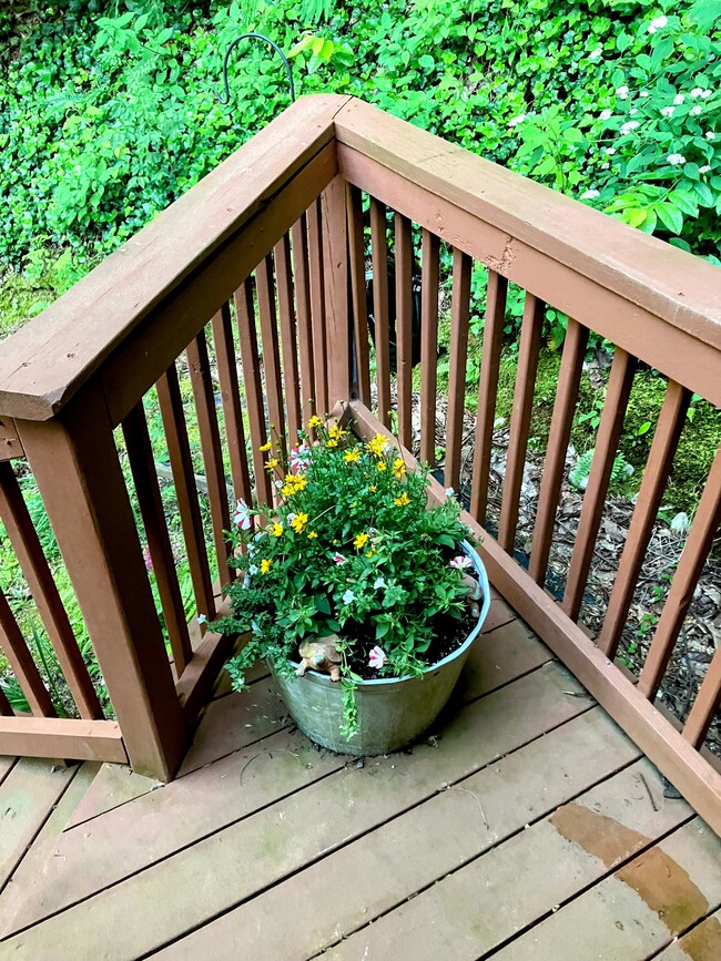 Photo - 38 Bulldog Ln House