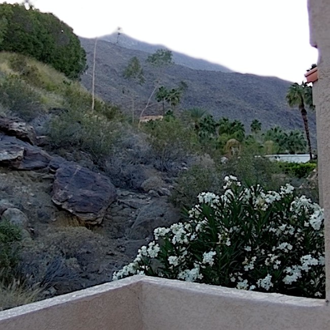 Building Photo - 2201 S Palm Canyon Dr