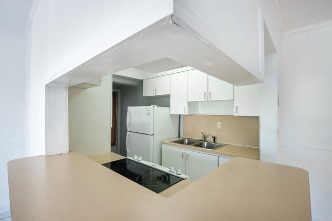 OPEN CONCEPT KITCHEN - 719 Euclid Ave