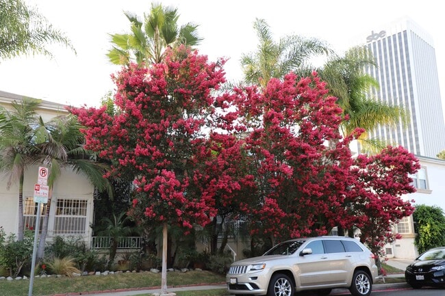 Foto del edificio - 831 Alandele Ave