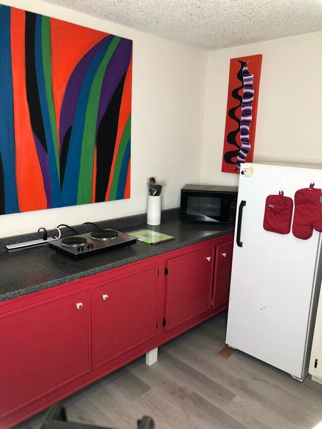 Kitchenette 2 Burners Microwave modern Counter top oven - 5430 Stacey Ave
